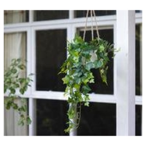 98Cm English Ivy Hanging Artificial Plant Green