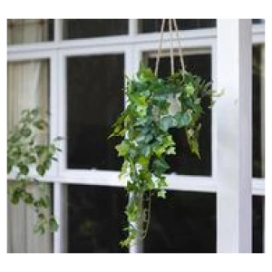 98Cm English Ivy Hanging Artificial Plant Green