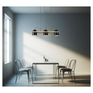 Erielle Pendant Light Black