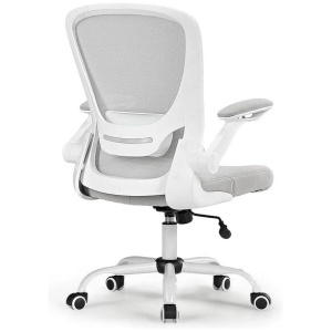 Eureka OC06 ONYX Ergonomic Home/Office Chair GY