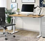 Lonsdale 120Cm White & Natural Electric Standing Desk Neutral