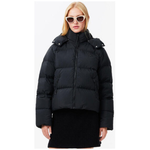 Padded Down Logo Jacket with Hood