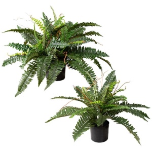 Set Of 2 Boston Fern Artificial Plant Green