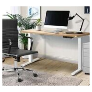 Wendie 120Cm White & Natural Electric Standing Desk Neutral