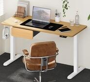 Dravenith White & Oak Standing Desk White