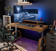 Ergomy Tx63 Electric Standing Desk Brown