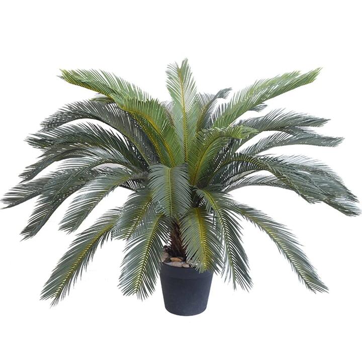 155cm Artificial Indoor Cycas Revoluta Cycad Sago Palm Fake Decoration Tree Pot Plant