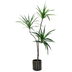 180cm Green Artificial Indoor Brazlian Iron Tree Fake Plant Decorative 3 Heads
