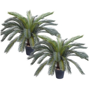 2X 155cm Artificial Indoor Cycas Revoluta Cycad Sago Palm Fake Decoration Tree Pot Plant
