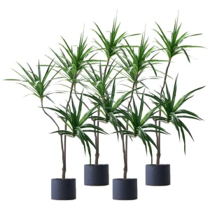 4X 180cm Green Artificial Indoor Brazlian Iron Tree Fake Plant Decorative 3 Heads