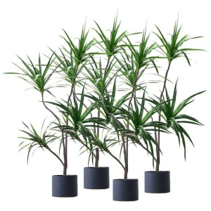 4X 180cm Green Artificial Indoor Brazlian Iron Tree Fake Plant Decorative 4 Heads