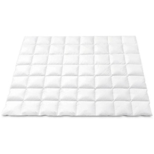 800GSM Goose Down Feather Quilt Winter Blanket Duvet Comforter Double