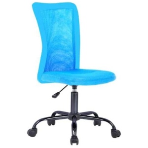 Andra Ergonomic Mesh Low Back Office Chair - Blue