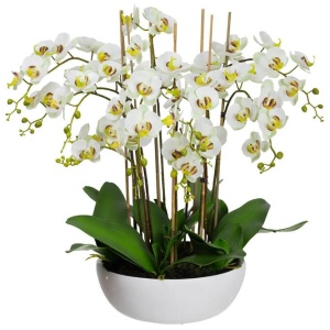 Apple Green Phal Orchid White Artificial Faux Plant Decorative Arrangement In Pot