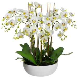 Apple Green Phal Orchid White Artificial Faux Plant Decorative Arrangement In Pot