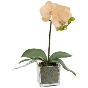 Apricot Orchid Artificial Fake Plant Decorative Arrangement 32cm In Square Glass