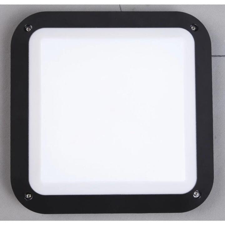Bulkhead Wall Light Lamp 12W Square Black 4000K IP66 OD280mm 800LM