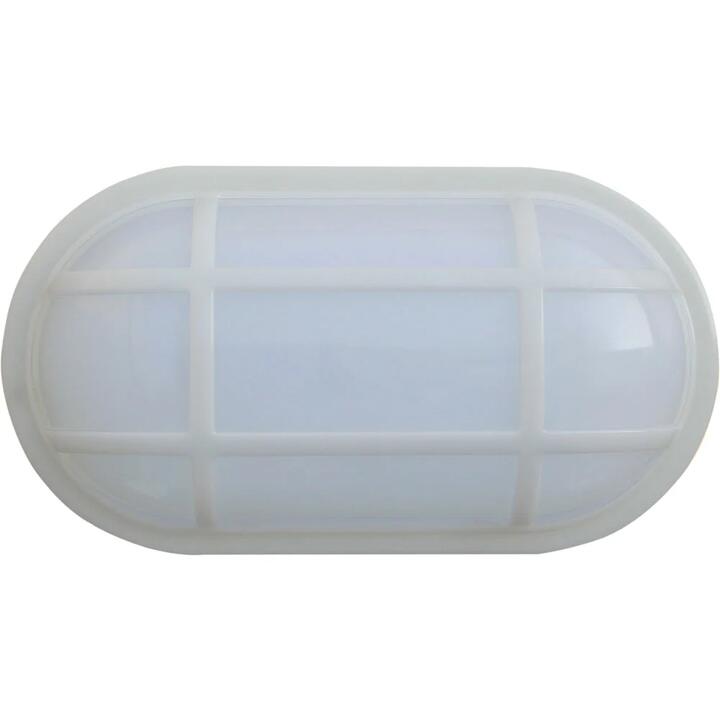 Bulkhead Wall Light Lamp 20W Oval White 3000K IP65 Optional Cage 1600LM