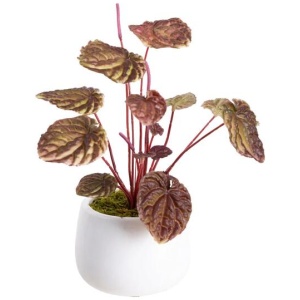 Burgundy Begonia Bush Artificial Faux Plant Decorative 20cm In Pot