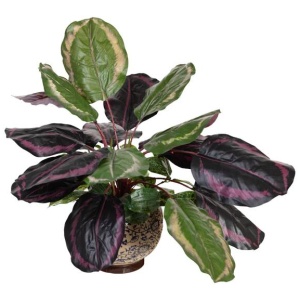 Calathea Bush 50cm Artificial Plant Flower Arrangement Decorative In Hampton Pot