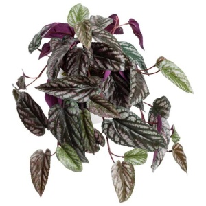 Cissus 25cm Artificial Plant Flower Arrangement Decorative In Pot