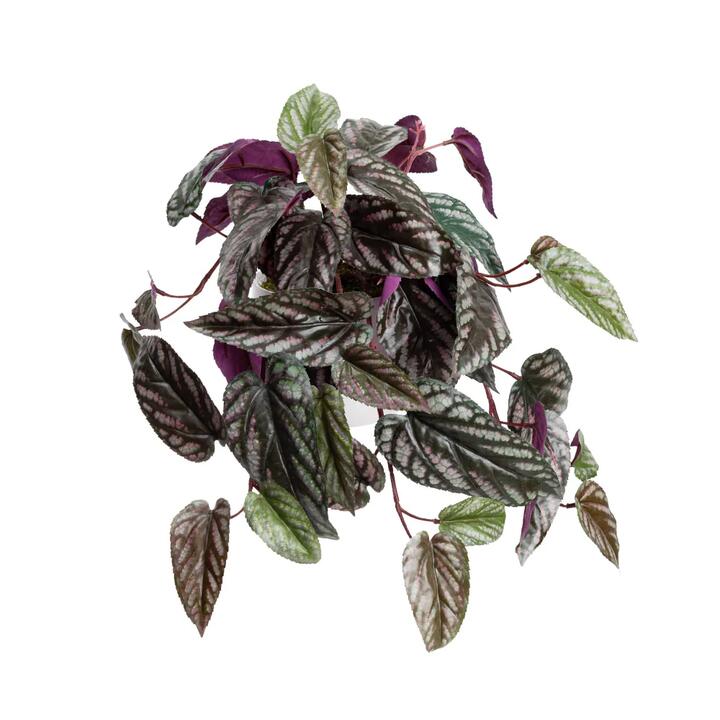 Cissus 25cm Artificial Plant Flower Arrangement Decorative In Pot