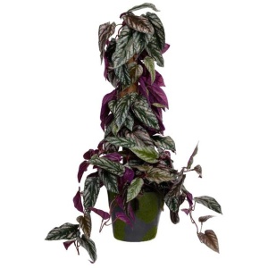 Cissus Discolour Plant 68cm Artificial Plant Flower Arrangement Decorative On Pole