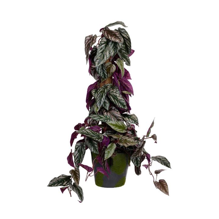 Cissus Discolour Plant 68cm Artificial Plant Flower Arrangement Decorative On Pole