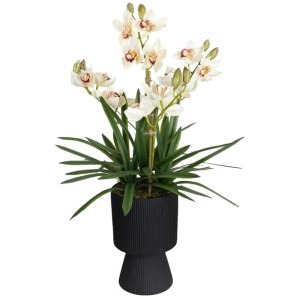 Cream Cymbidium 90cm Artificial Plant Flower Arrangement Decorative In Ripple Pot