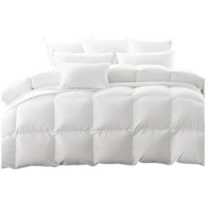 DreamZ 700GSM All Season Goose Down Feather Filling Duvet in Queen Size