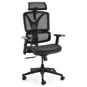 EX10 Ergonomic Mesh Office Computer Work Task Chair