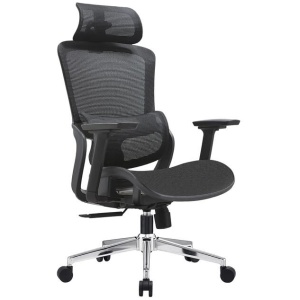 Elena High Back Full Mesh Ergonomic Office Chair In Black