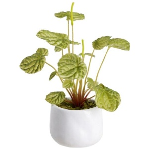 Green Begonia Bush Artificial Faux Plant Decorative 20cm In Pot