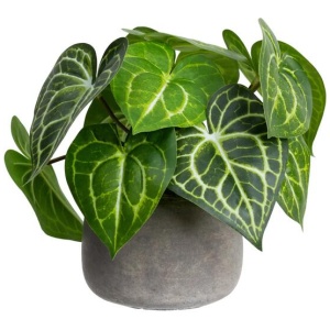 Green Caladium 30cm Artificial Plant Flower Arrangement Decorative In Pot