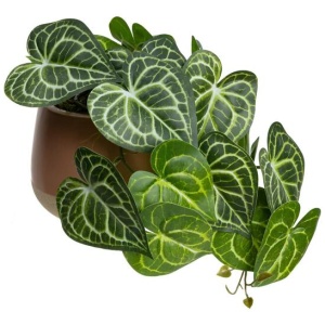 Green Caladium 35cm Artificial Plant Flower Arrangement Decorative In Luxe Pot