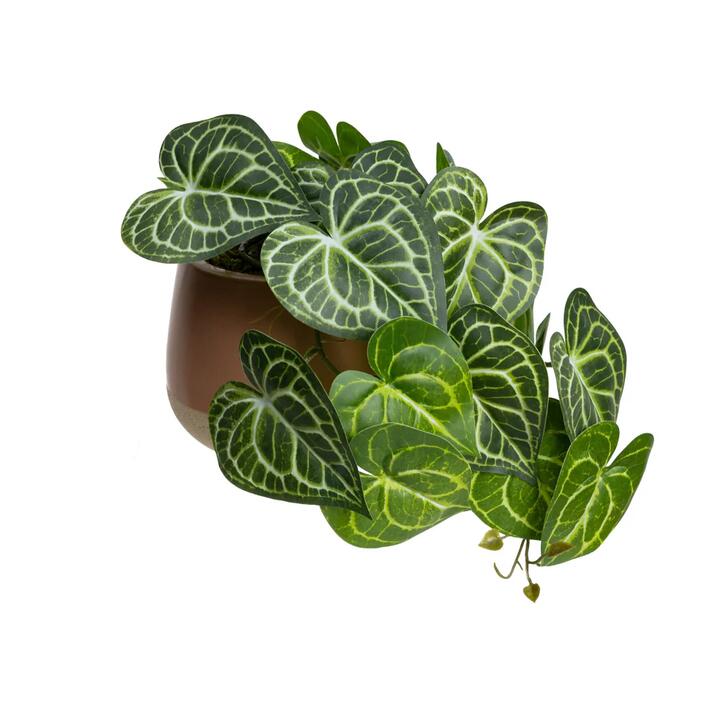 Green Caladium 35cm Artificial Plant Flower Arrangement Decorative In Luxe Pot