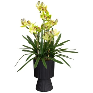 Green Cymbidium 90cm Artificial Plant Flower Arrangement Decorative In Ripple Pot