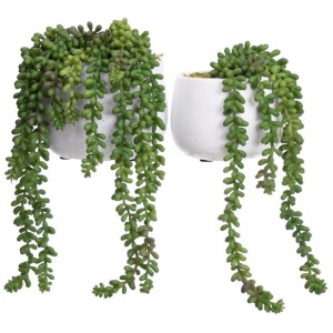 Green Hanging Pearl Artificial Fake Plant Decorative In Pot Set