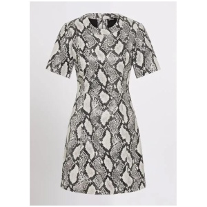 Indy Leather Mini Dress