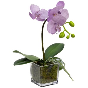Lavender Orchid Artificial Fake Plant Decorative Arrangement 32cm In Square Glass