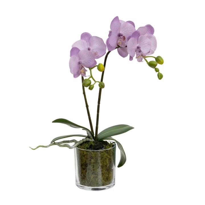 Lavender Orchid Artificial Fake Plant Decorative Arrangement 40cm In Cylinder Glass