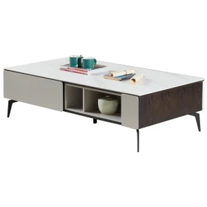 Lucinda Sintered Stone Rectangular Coffee Table - White