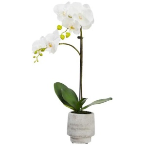 Orchid 52cm White Artificial Faux Plant Decorative Arrangement In Concrete Pot