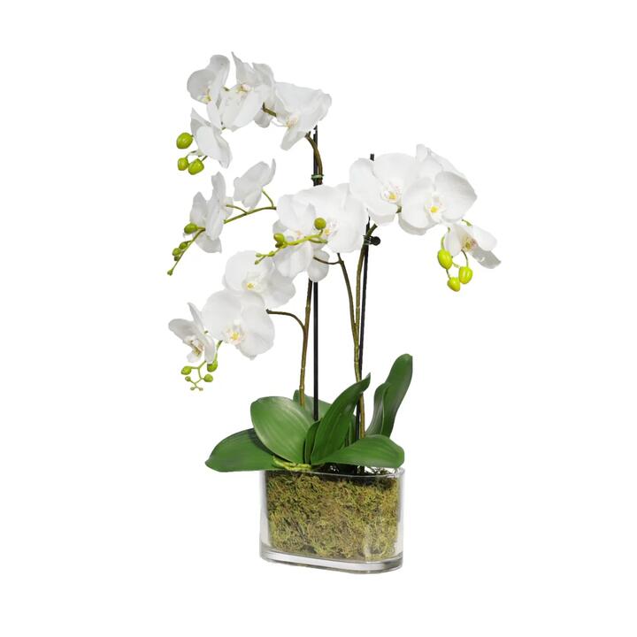 Orchid 60cm Artificial Faux Plant Decorative Arrangement In Flat Glass White
