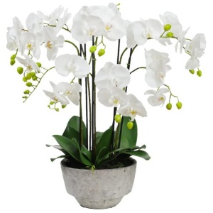 Orchid 78cm White Artificial Faux Plant Decorative Arrangement In Concrete Pot