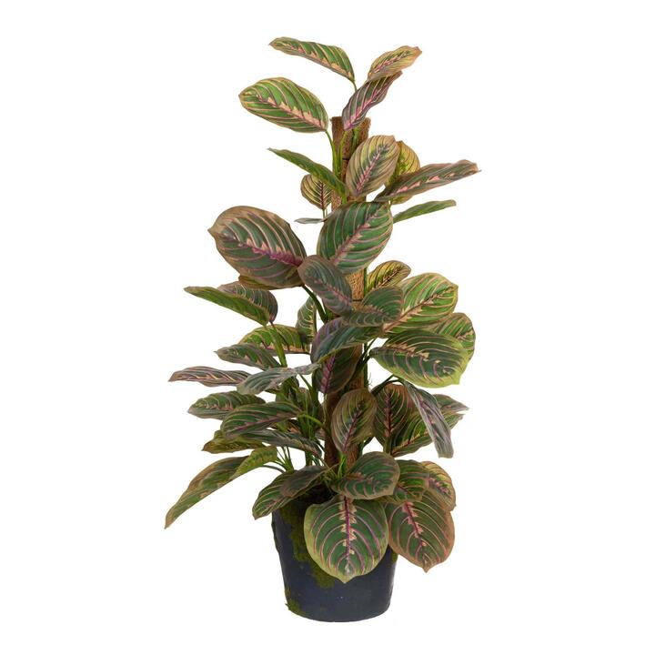 Peacock Bush 73cm Artificial Plant Flower Arrangement Decorative On Pole