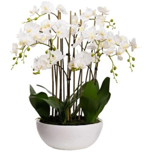 Phalaenopsis Orchid Artificial Plant Flower Decorative Large 75cm Ceramic Pot - White