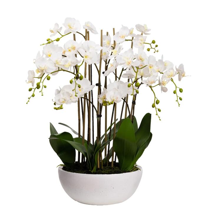 Phalaenopsis Orchid Artificial Plant Flower Decorative Large 75cm Ceramic Pot - White