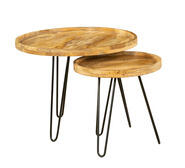 Purna 2 Piece Coffee Table Set Neutral