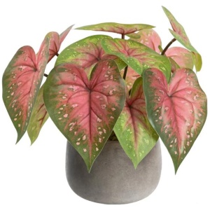 Red Caladium 30cm Artificial Plant Flower Arrangement Decorative In Pot